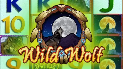 wild wolf 479